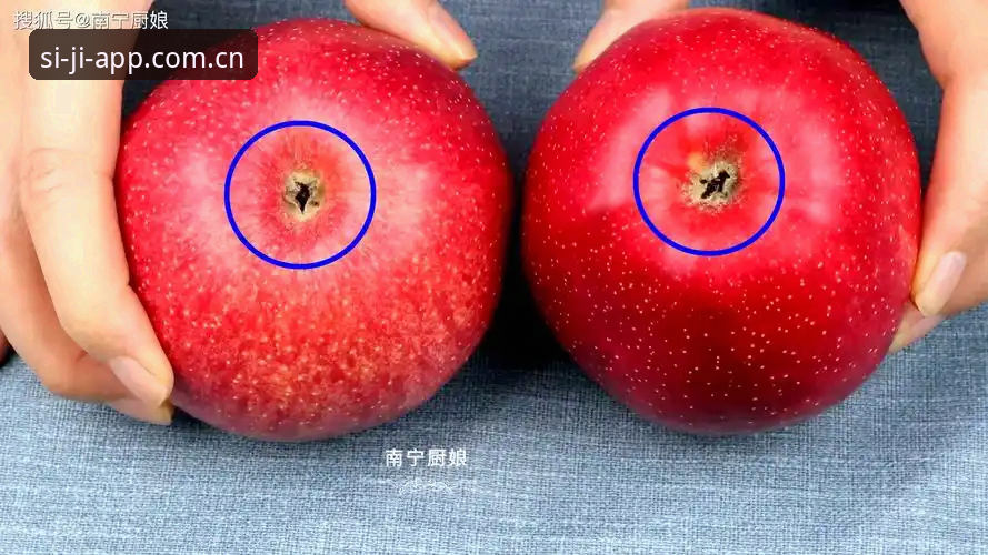 四季苹果下载 掌握四季苹果下载的5个关键步骤,轻松搞定赛事数据查询